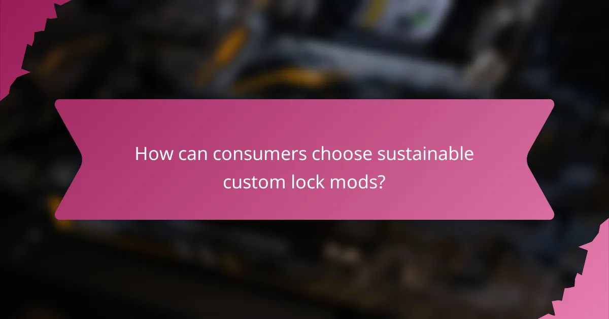How can consumers choose sustainable custom lock mods?