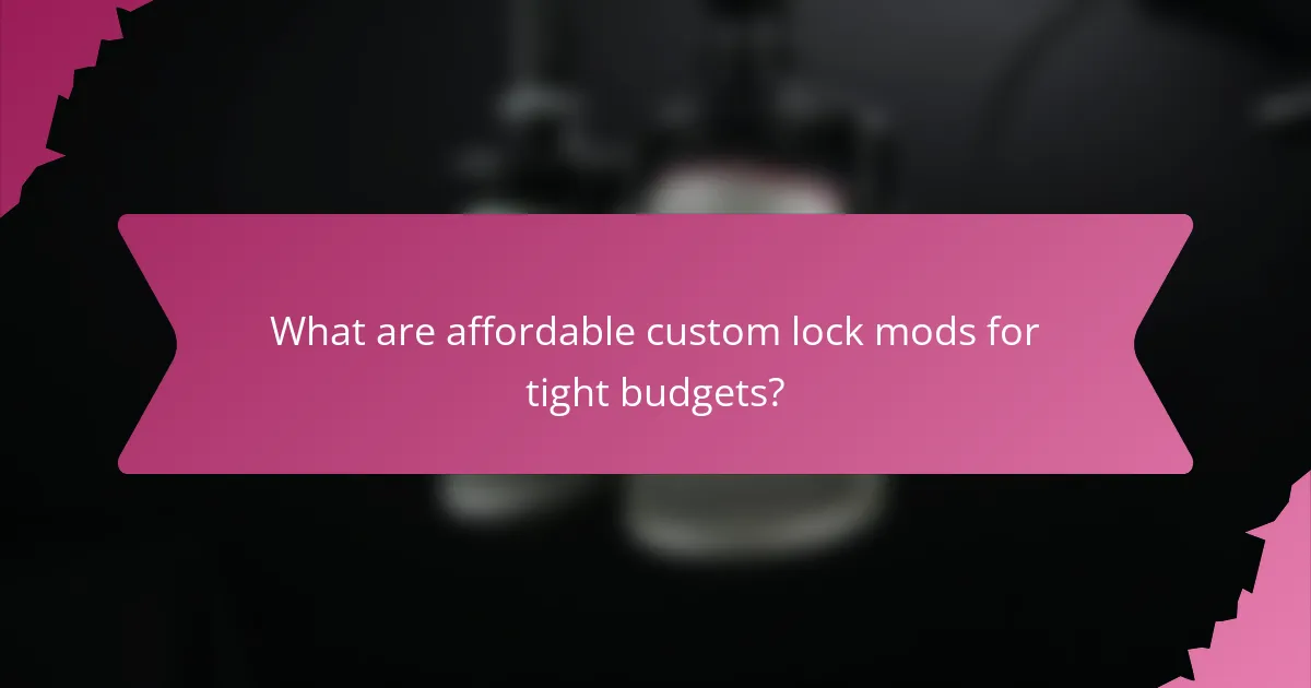 What are affordable custom lock mods for tight budgets?