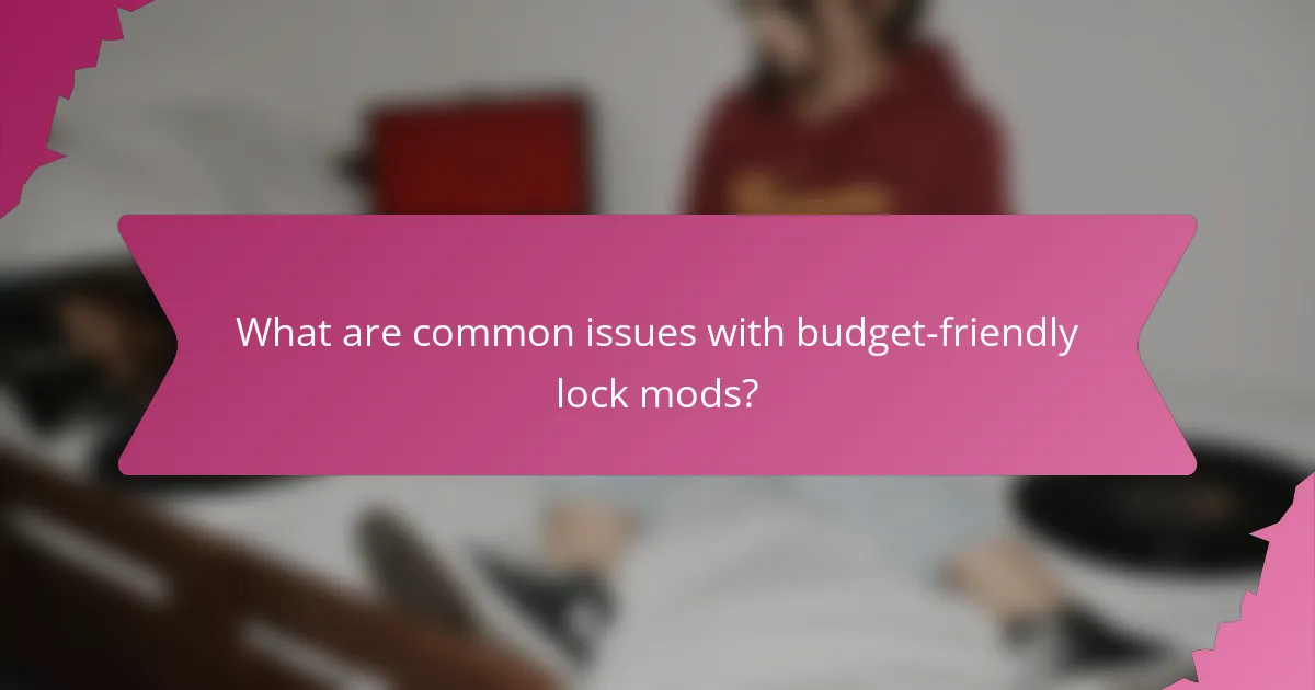 What are common issues with budget-friendly lock mods?