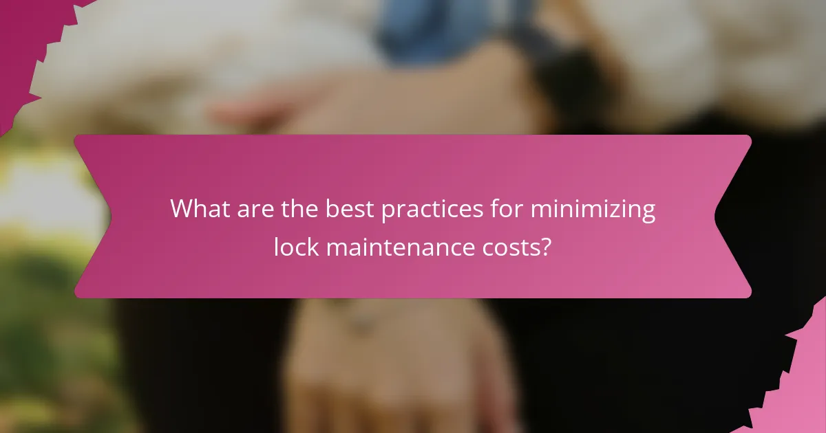 What are the best practices for minimizing lock maintenance costs?