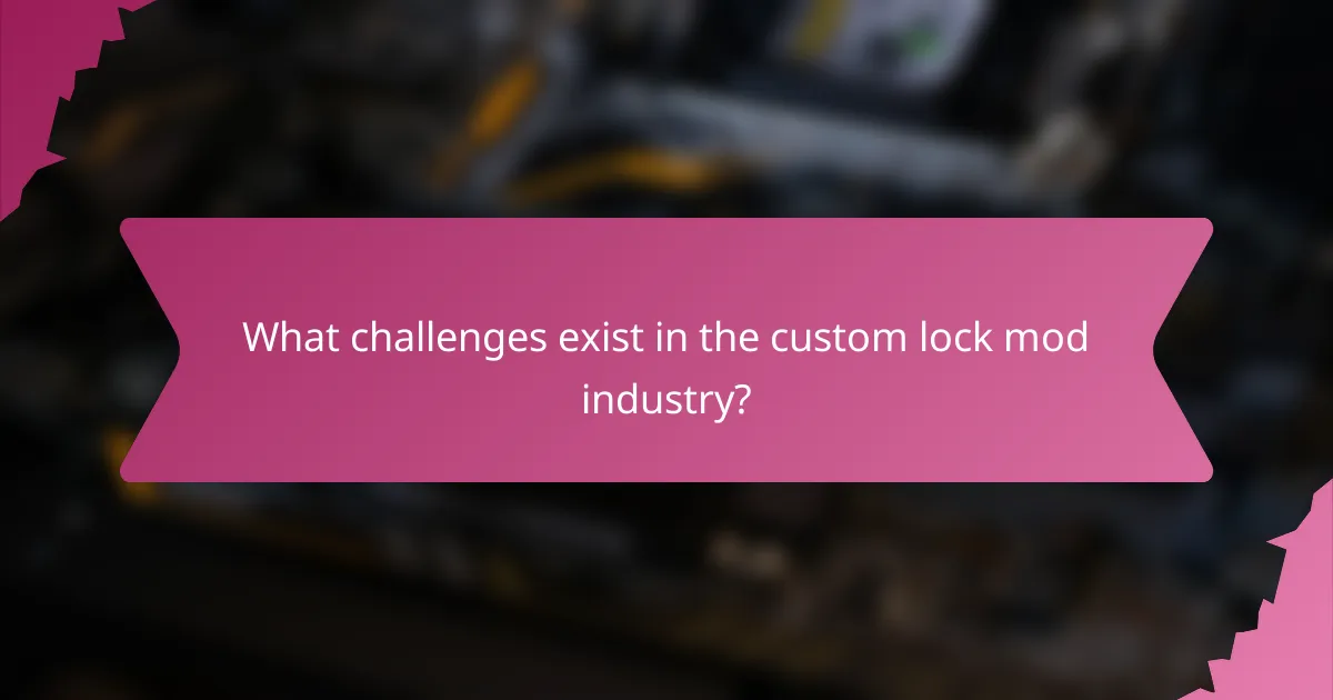What challenges exist in the custom lock mod industry?
