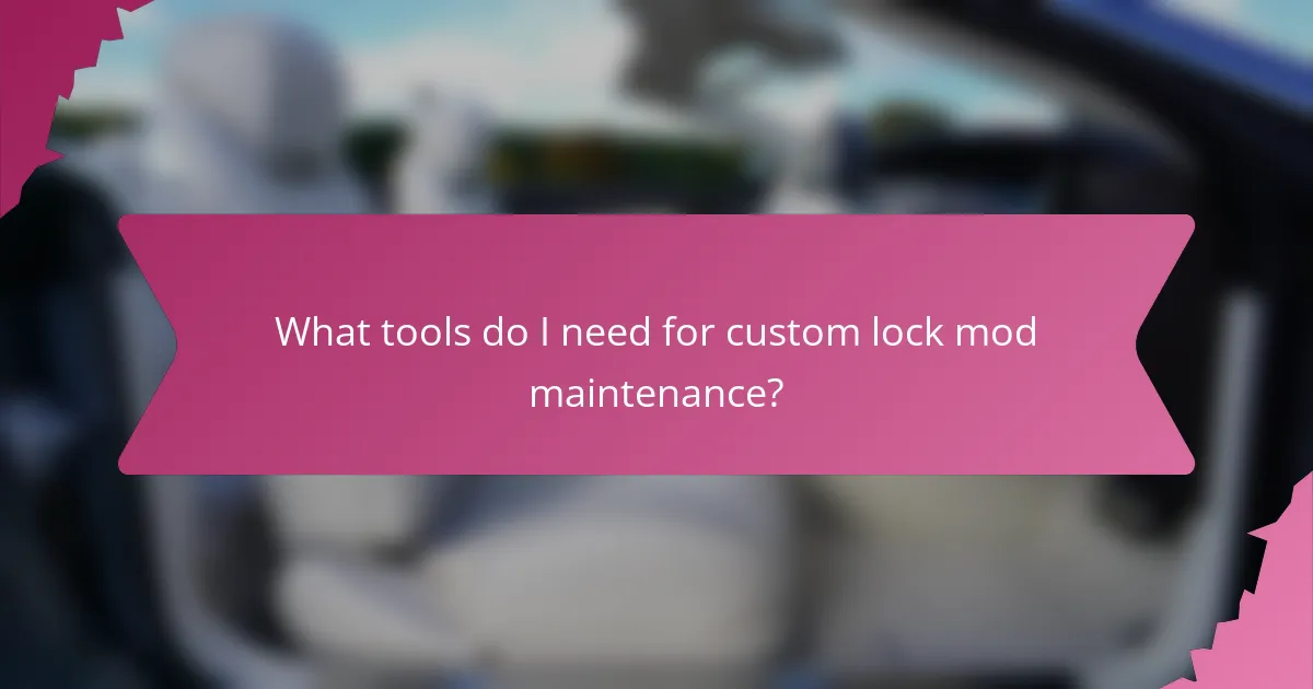 What tools do I need for custom lock mod maintenance?