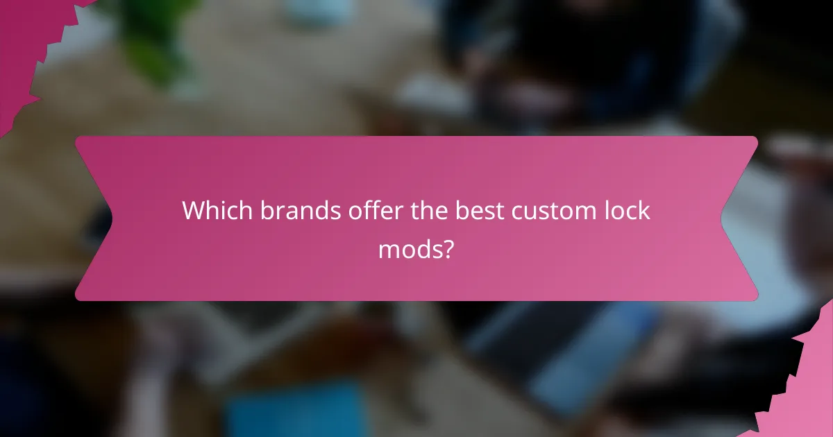 Which brands offer the best custom lock mods?